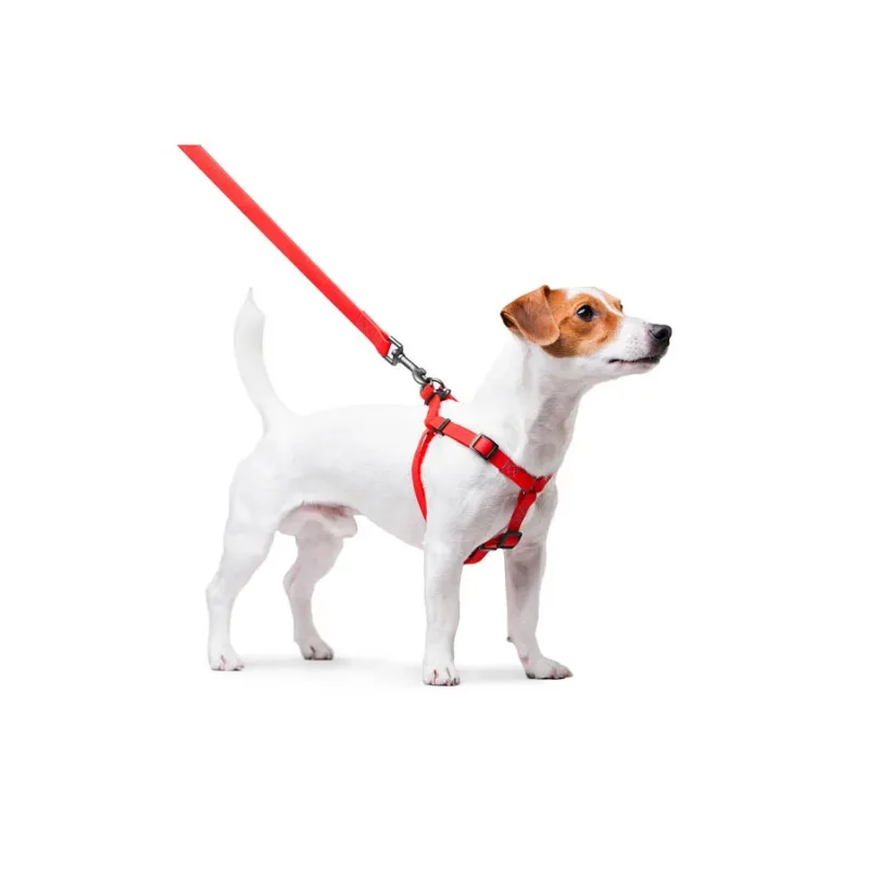 Шлея для собак водостойкая, S, красный WAUDOG Waterproof Harness