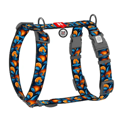 Шлея для собак анатомічна H-подібна «Апельсини», XL WAUDOG Nylon Anatomic Harness Oranges