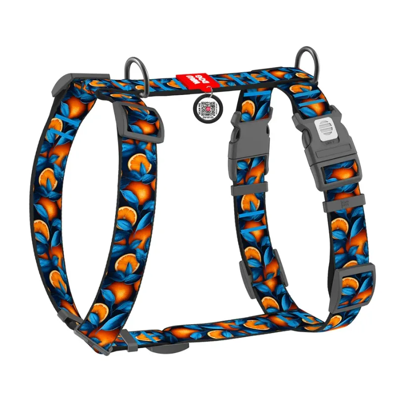 Шлея для собак анатомічна H-подібна «Апельсини», XL WAUDOG Nylon Anatomic Harness Oranges