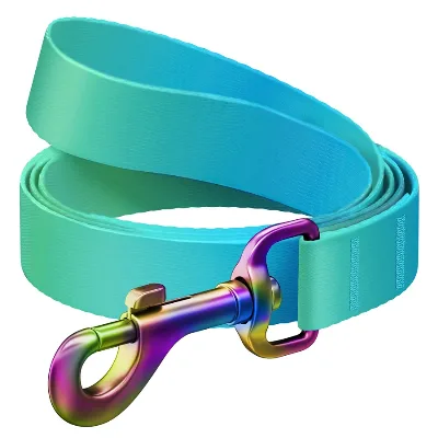 Повідець для собак з нейлону, градієнт, L-XXL, блакитний WAUDOG Nylon Recycled Leash