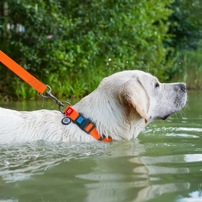Нашийник для собак водостійкий, пластикова пряжка, XL, помаранчевий WAUDOG Waterproof Collar