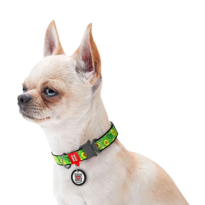 Нашийник для собак нейлоновий «Авокадо», металева пряжка, S WAUDOG Nylon Collar Avocado