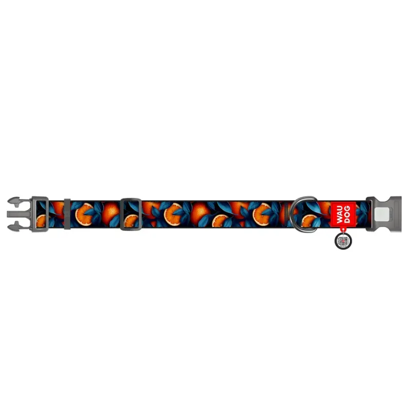 Нашийник для собак нейлоновий «Апельсини», XXL WAUDOG Nylon Collar Oranges