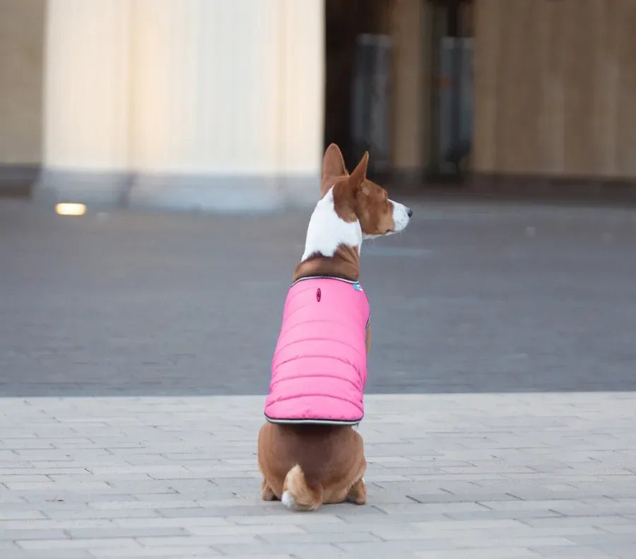 Куртка-накидка для собак, XL, рожевий AiryVest Dog Cape Jacket