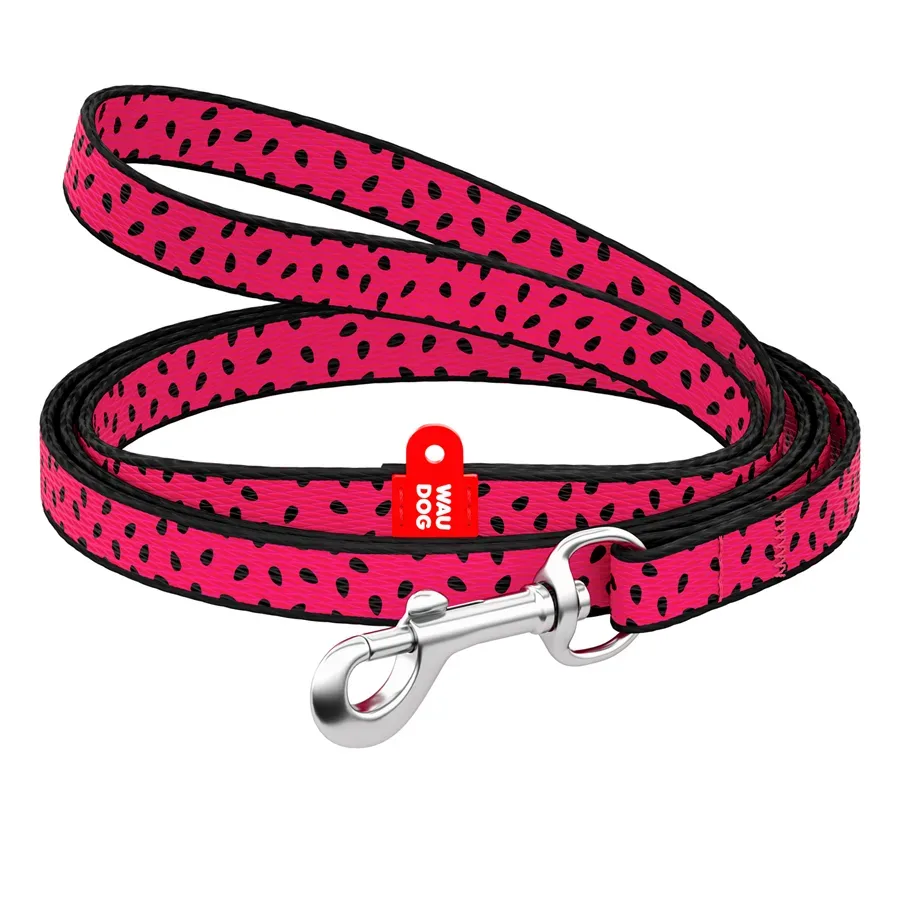 Повідець для собак нейлоновий «Кавун», XS WAUDOG Nylon Leash Watermelon