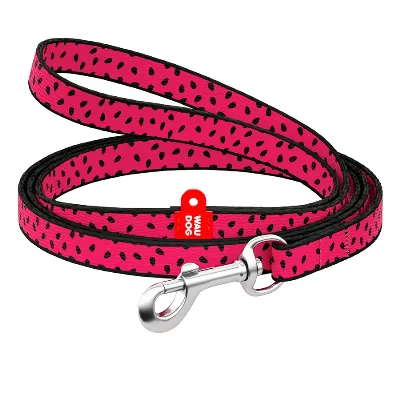 Повідець для собак нейлоновий «Кавун», XS WAUDOG Nylon Leash Watermelon