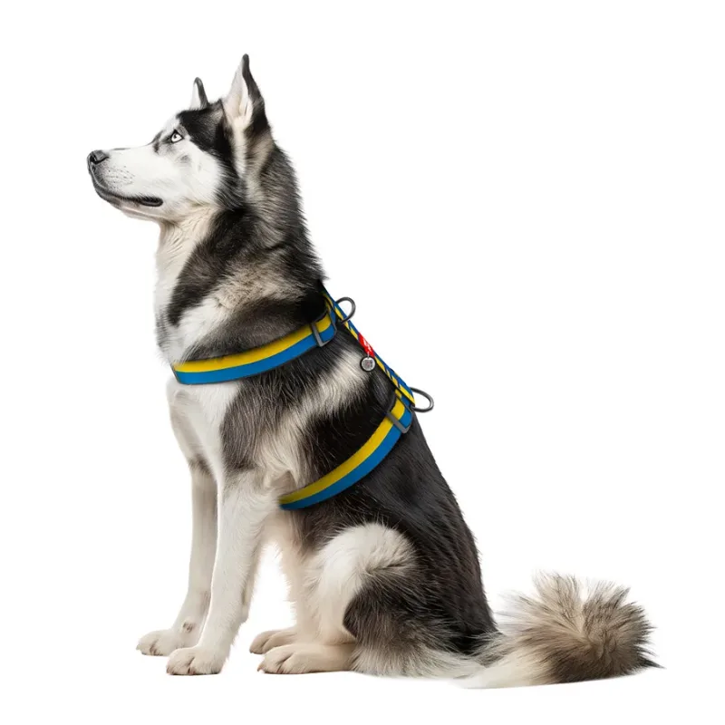 Шлея для собак анатомическая H-образная «Colors of freedom», XL WAUDOG Nylon Anatomic Harness Colors of Freedom