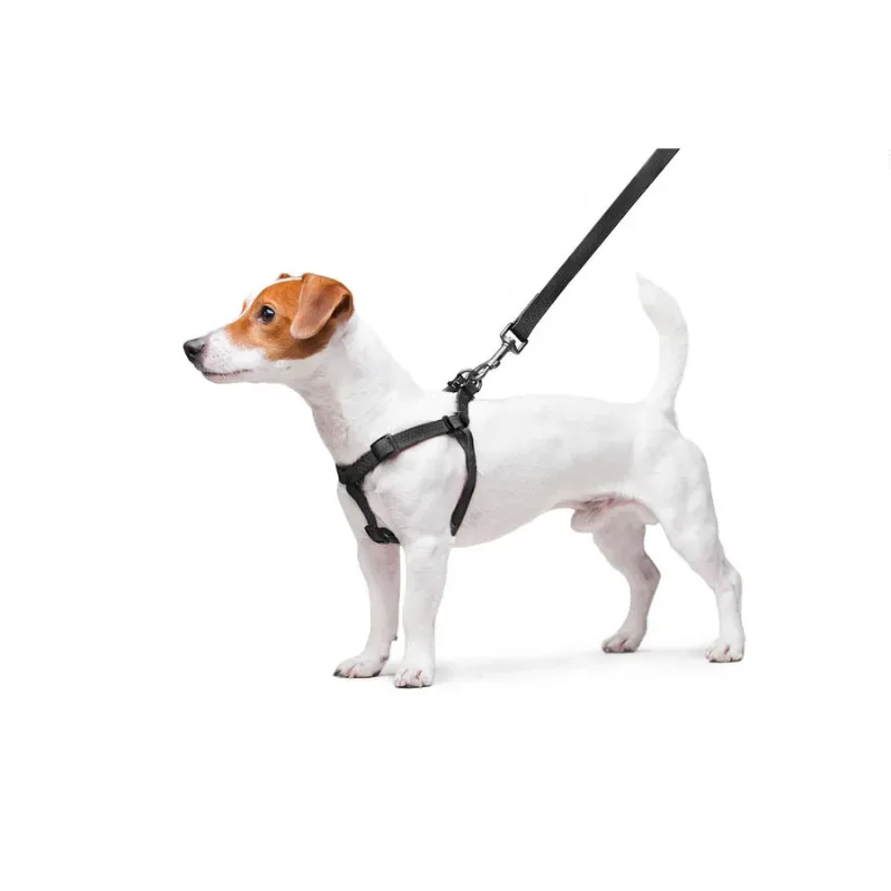 Шлея для собак водостойкая, S, черный WAUDOG Waterproof Harness