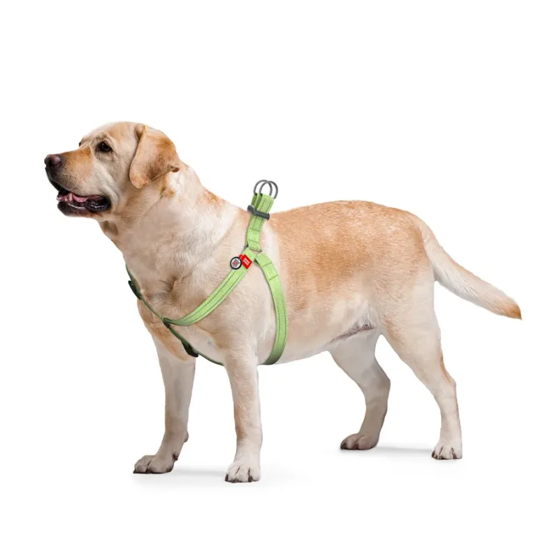 Шлея з відновленої бавовни, світловідбивна, M, салатовий WAUDOG Re-cotton Harness