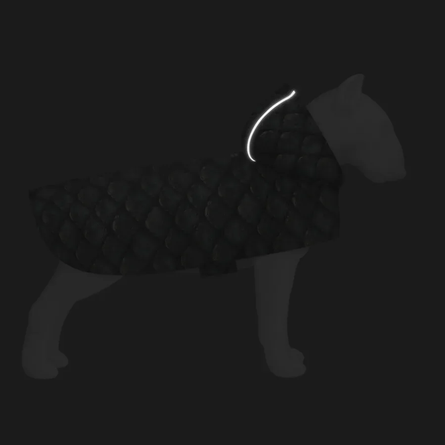 Дощовик-накидка з капюшоном для собак «Луска», L WAUDOG Clothes Dog Raincoat Scales