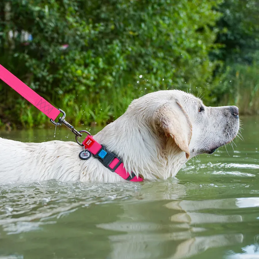 Ошейник для собак водостойкий, пластиковая пряжка, XL, розовый WAUDOG Waterproof Collar
