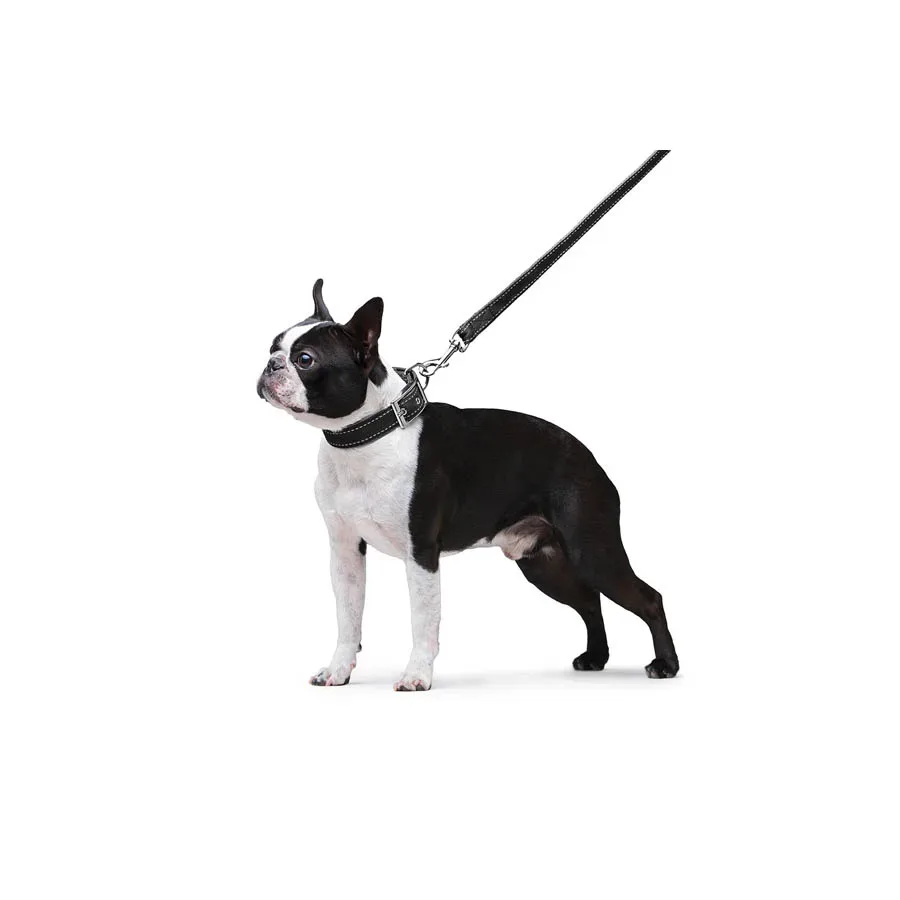 Повідець з нейлону подвійний, M, чорний Dog Extreme Leash