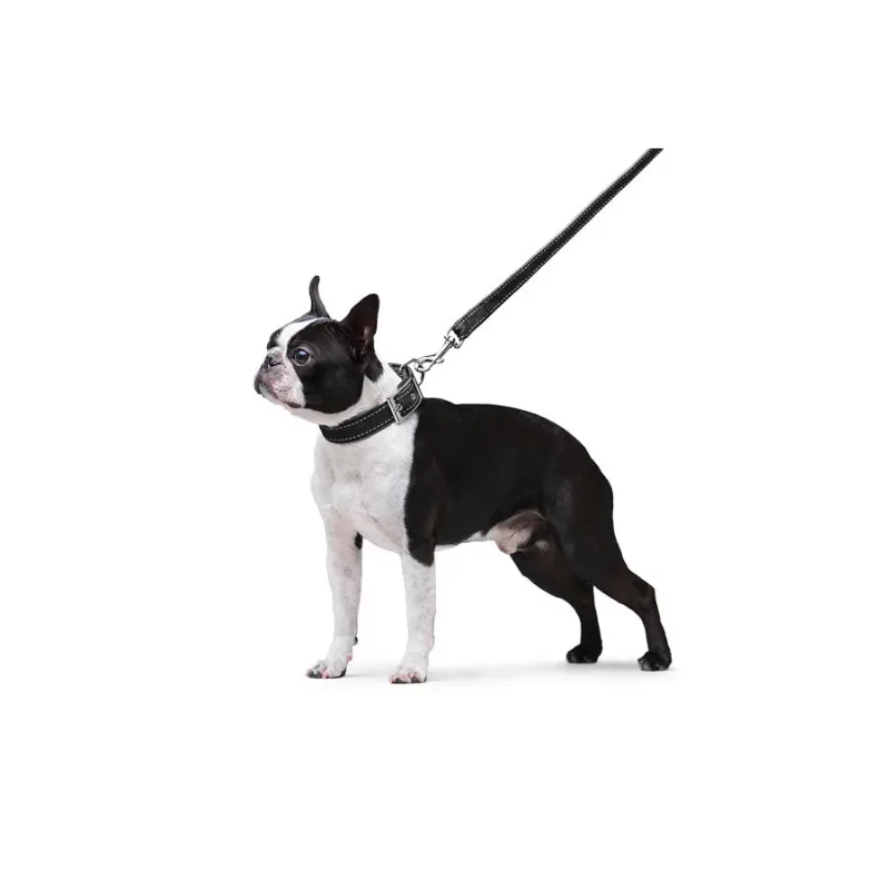 Повідець з нейлону подвійний, M, чорний Dog Extreme Leash