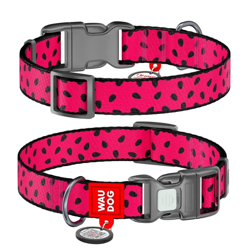 Ошейник для собак нейлоновый «Арбуз», пластиковая пряжка, XL WAUDOG Nylon Collar Watermelon