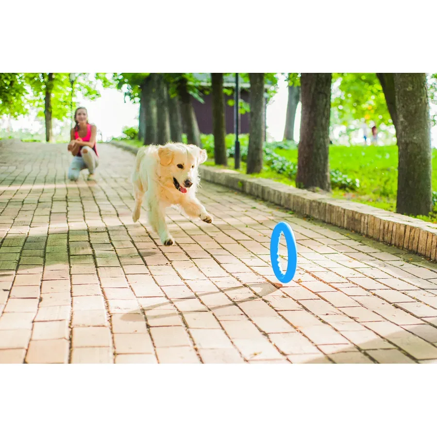 Кольцо для апортировки 30, голубой PitchDog Fetch Ring