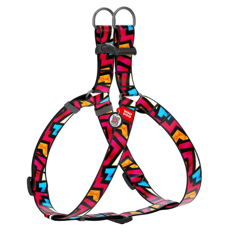 Шлея для собак «Графіті», L WAUDOG Nylon Anatomic Harness Graffiti