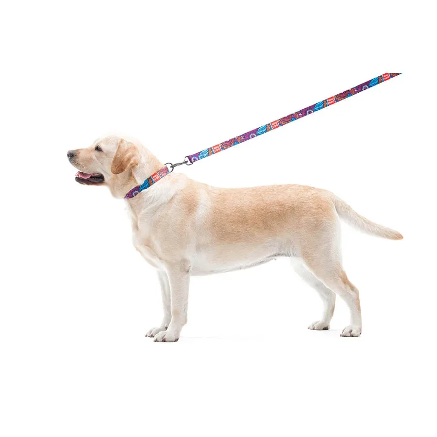 Повідець для собак нейлоновий «Літо», M WAUDOG Nylon Leash Summer