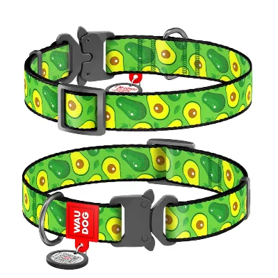Ошейник для собак нейлоновый «Авокадо», металлическая пряжка, XL WAUDOG Nylon Collar Avocado
