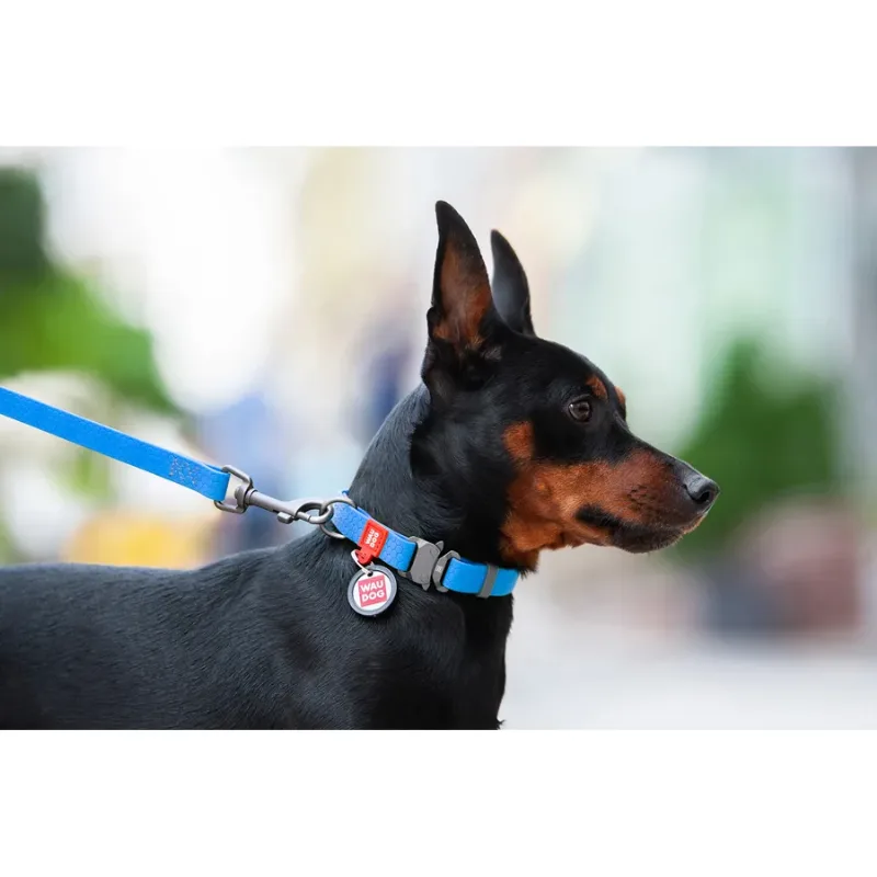 Ошейник для собак водостойкий, металлическая пряжка, L, голубой WAUDOG Waterproof Collar