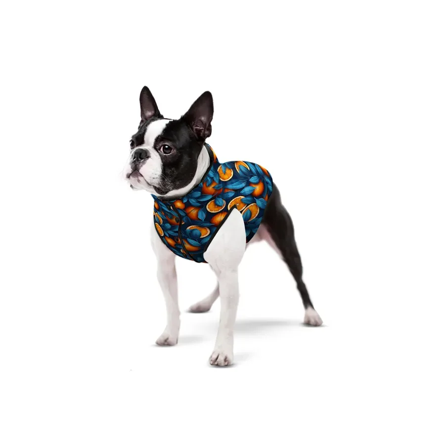 Курточка для собак «Апельсини», S40 WAUDOG Clothes Dog Jacket Oranges