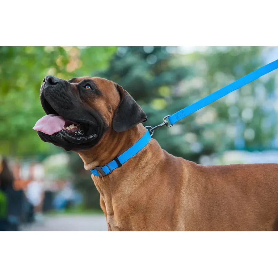 Поводок для собак водостойкий, 15 мм × 183 см, S, голубой WAUDOG Waterproof Leash