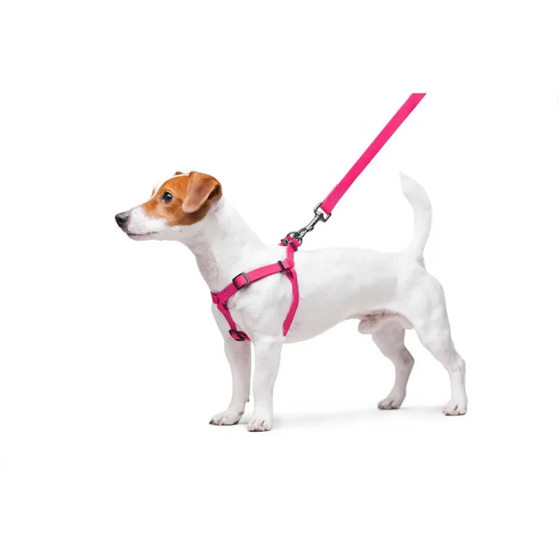 Шлея для собак водостойкая, S, розовый WAUDOG Waterproof Harness