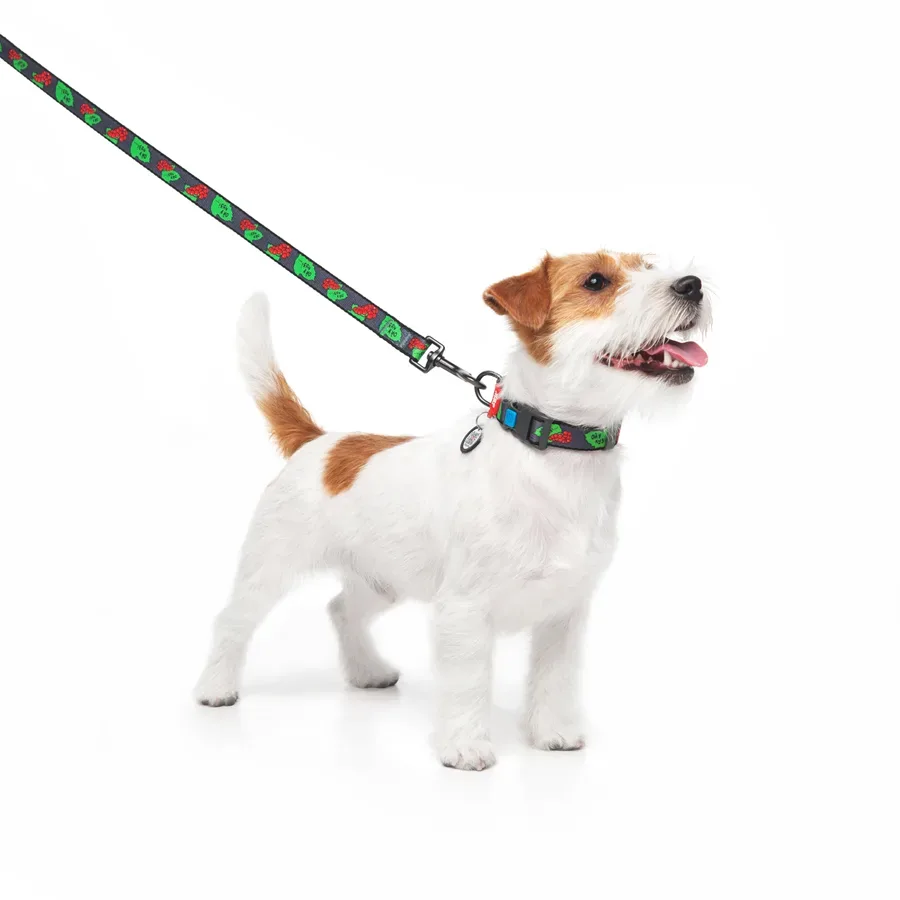 Повідець для собак нейлоновий «Калина», M WAUDOG Nylon Leash Kalyna