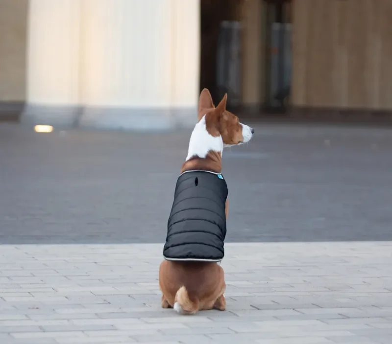 Курточка-накидка для собак, XL, черный AiryVest Dog Cape Jacket