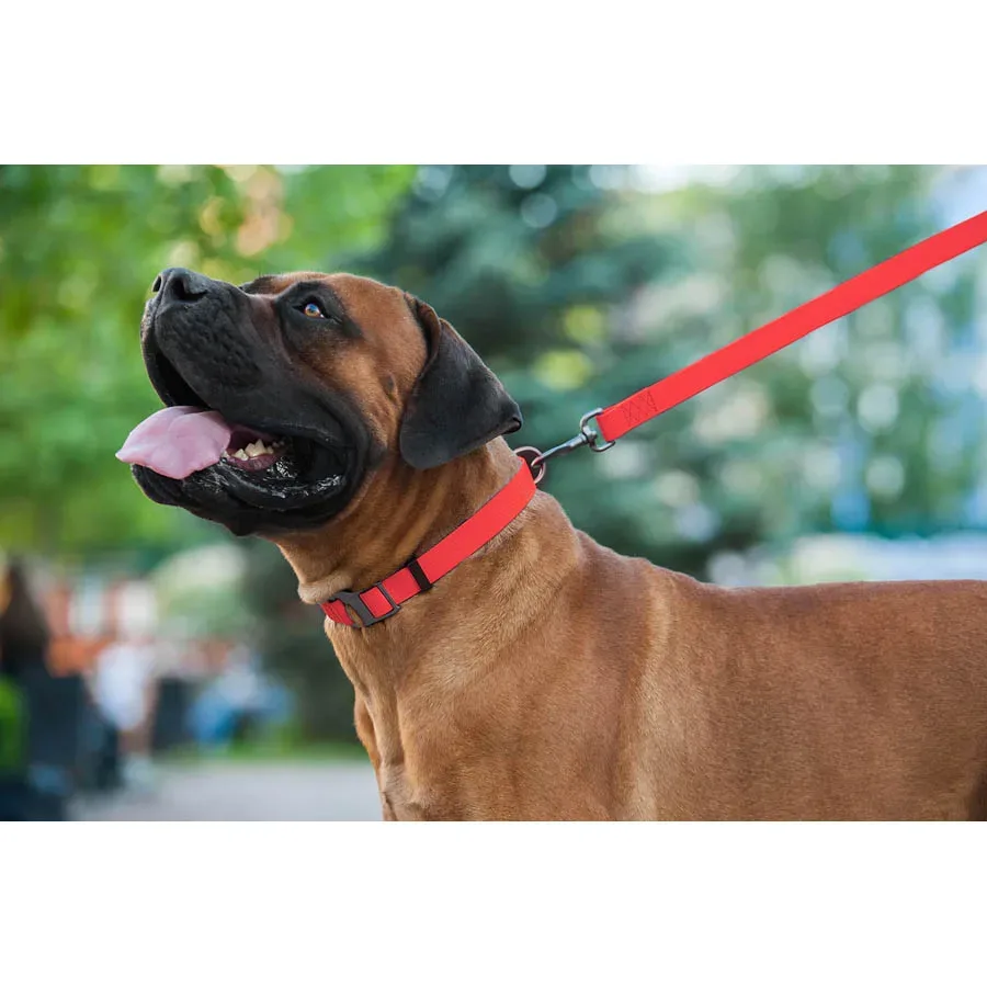 Повідець для собак водостійкий, 15 мм × 122 см, S, червоний WAUDOG Waterproof Leash