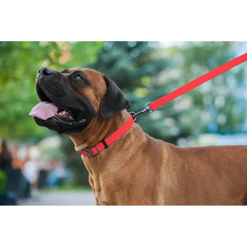 Повідець для собак водостійкий, 15 мм × 122 см, S, червоний WAUDOG Waterproof Leash