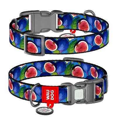 Ошейник для собак нейлоновый «Инжир», XL WAUDOG Nylon Collar Figs
