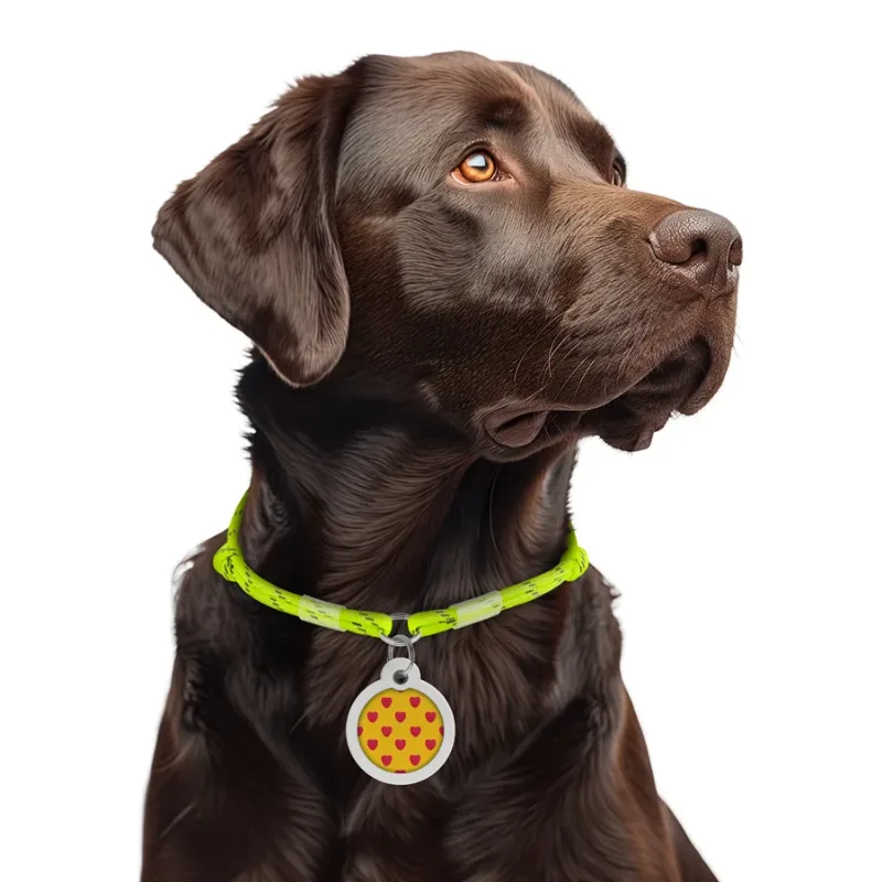 Шнурок для адресника з паракорду, світловідбивний, M, жовтий WAUDOG Smart ID Tag Cord