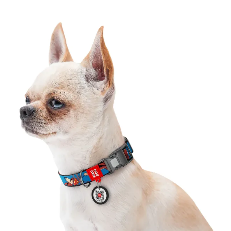 Ошейник для собак нейлоновый «Сила Супермена», S WAUDOG Nylon DC Comics Collar Superman Power