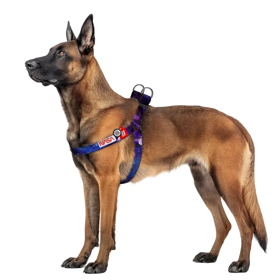 Шлея для собак «NASA21», XL WAUDOG Nylon Harness NASA21