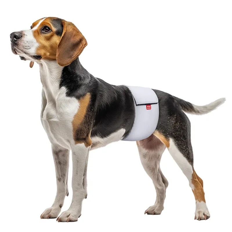 Пояс гігієнічний для кобелів на липучці, сірий, S WAUDOG Vet Belly Band