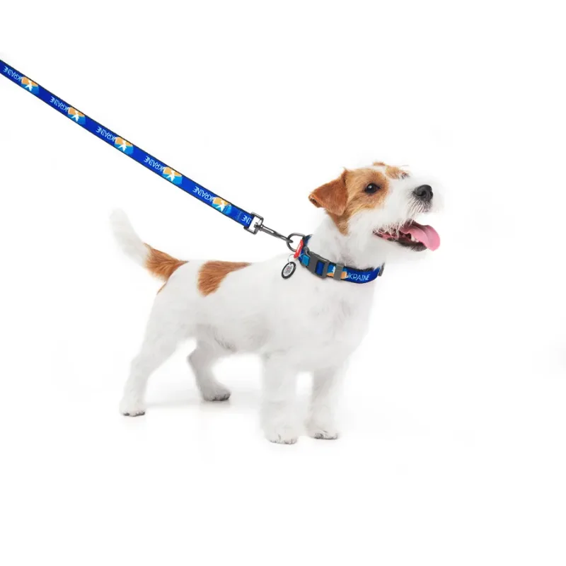 Нашийник для собак нейлоновий «Прапор», M WAUDOG Nylon Collar Flag