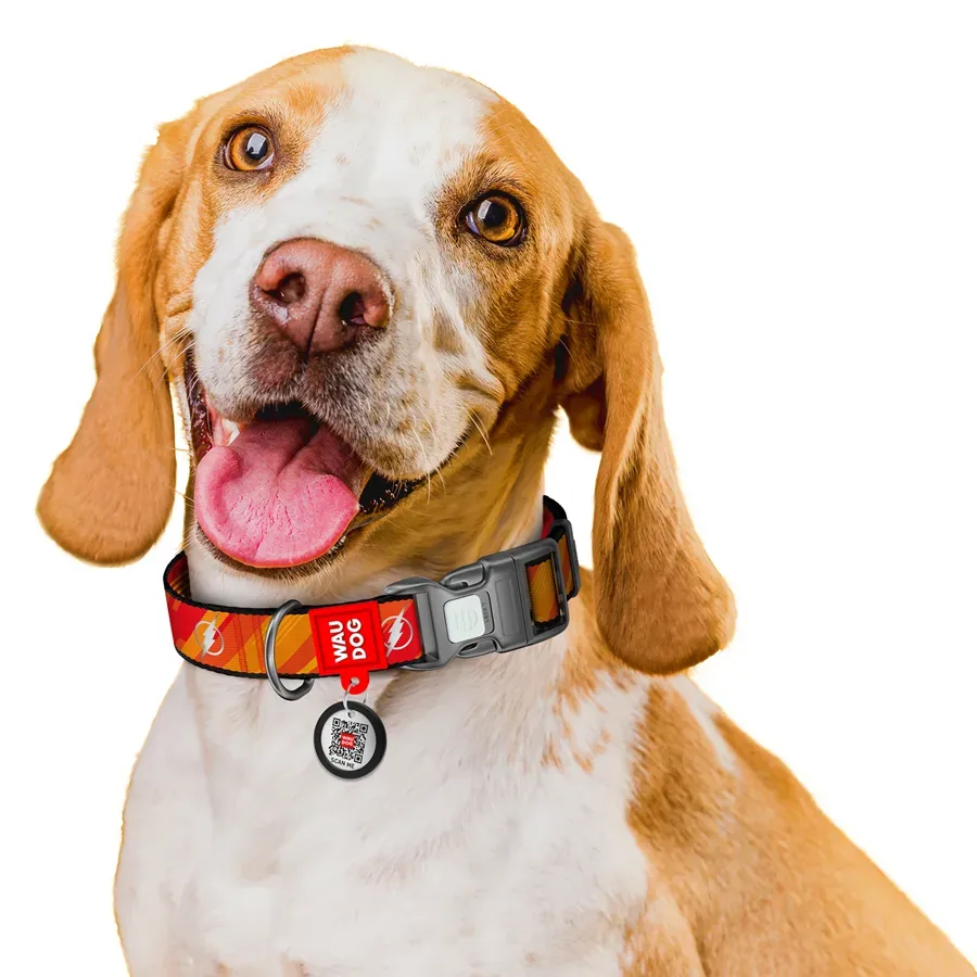 Нашийник для собак нейлоновий, світловідбивний «Флеш лого», XL WAUDOG Nylon DC Comics Collar Flash Logo