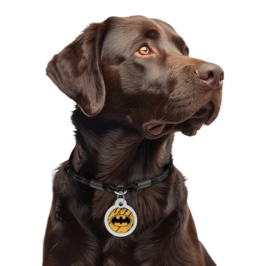 Адресник для собак і котів металевий, коло «Бетмен ескіз», L WAUDOG Smart ID Tag Batman Sketch