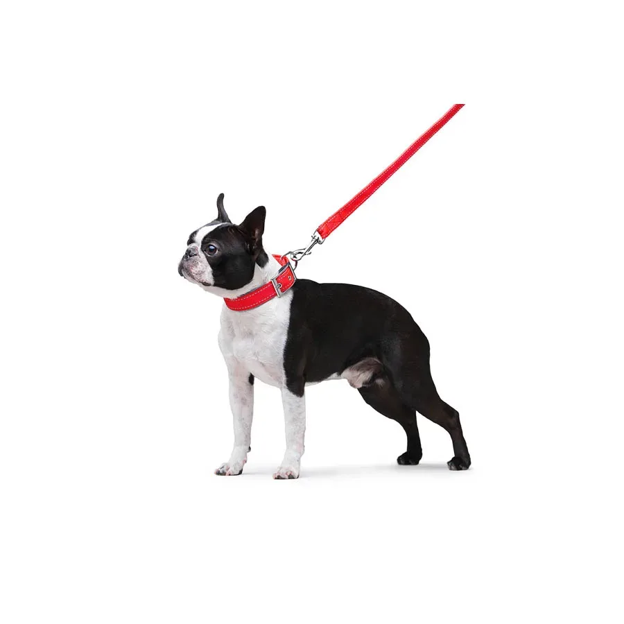 Поводок нейлоновый двойной, M, красный Dog Extreme Leash