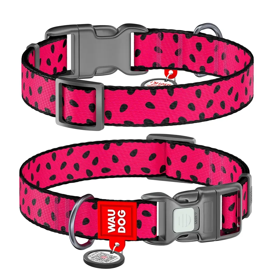 Нашийник для собак нейлоновий «Кавун», пластикова пряжка, L WAUDOG Nylon Collar Watermelon