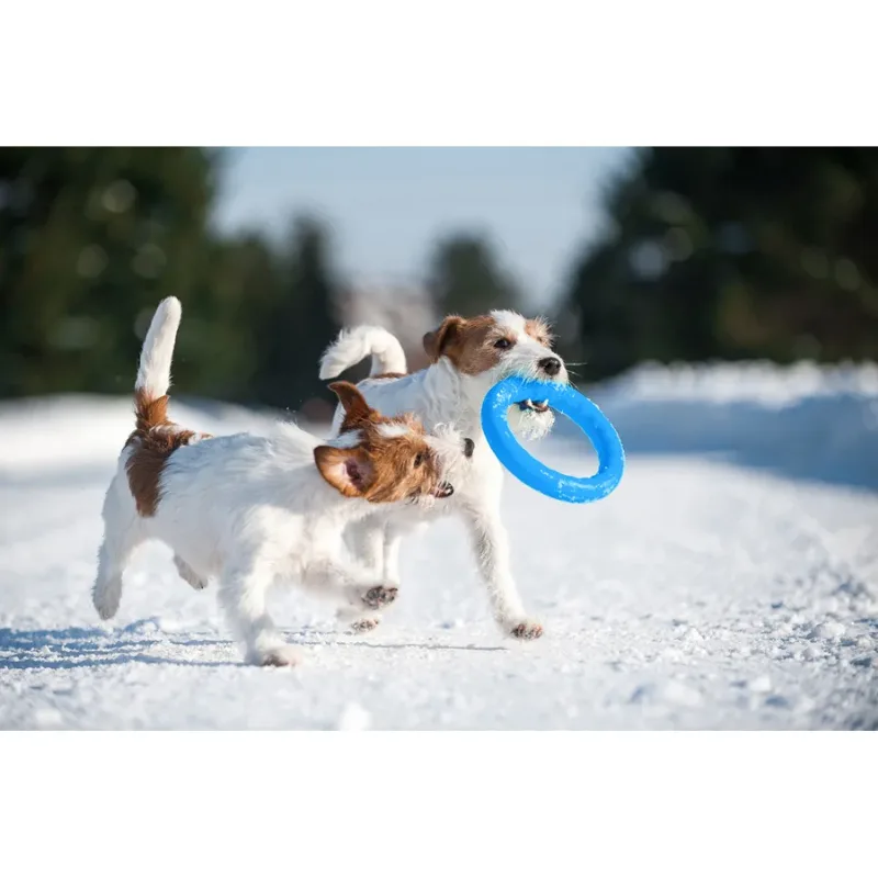 Кільце для апортировки 20, блакитний PitchDog Fetch Ring