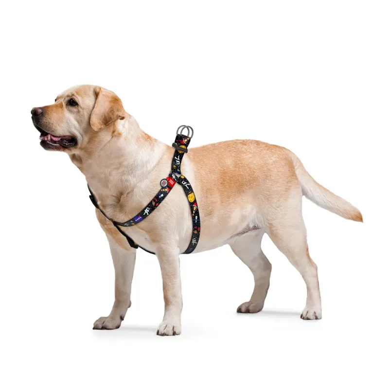 Шлея для собак «NASA», L WAUDOG Nylon Anatomic Harness NASA