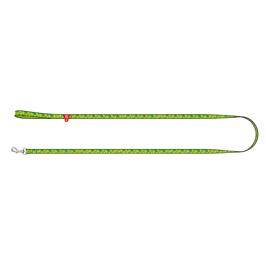 Повідець для собак нейлоновий «Авокадо», XS WAUDOG Nylon Leash Avocado