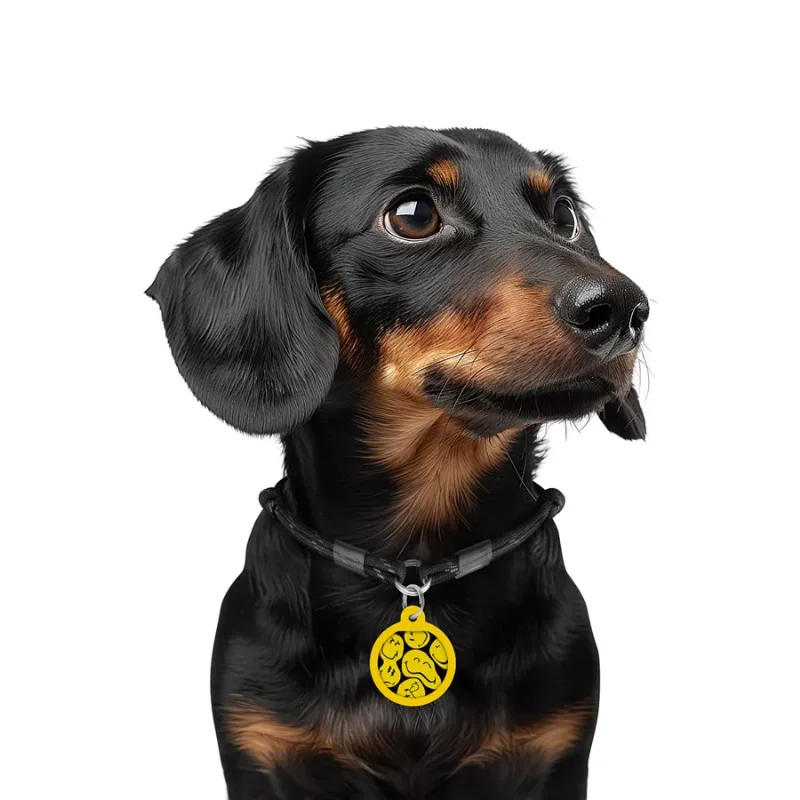Адресник для собак і котів металевий, коло «Смайли на чорному», S WAUDOG Smart ID Tag Smileys on Black