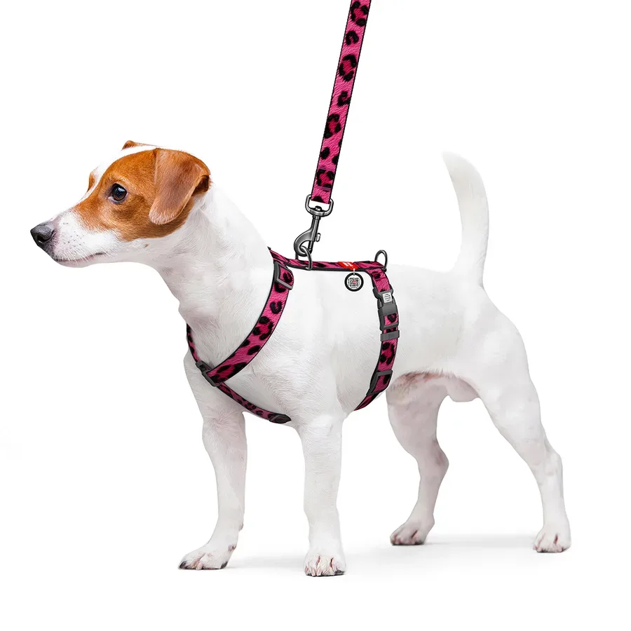 Шлея для собак анатомічна H-подібна «Леопард рожевий», M WAUDOG Nylon Harness Pink Leopard