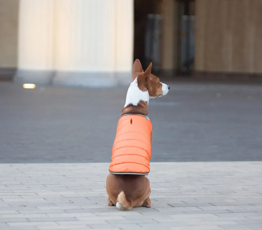 Куртка-накидка для собак, XL, помаранчевий AiryVest Dog Cape Jacket