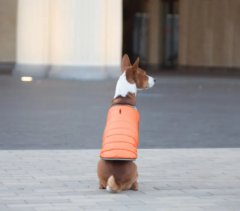 Куртка-накидка для собак, XL, помаранчевий AiryVest Dog Cape Jacket