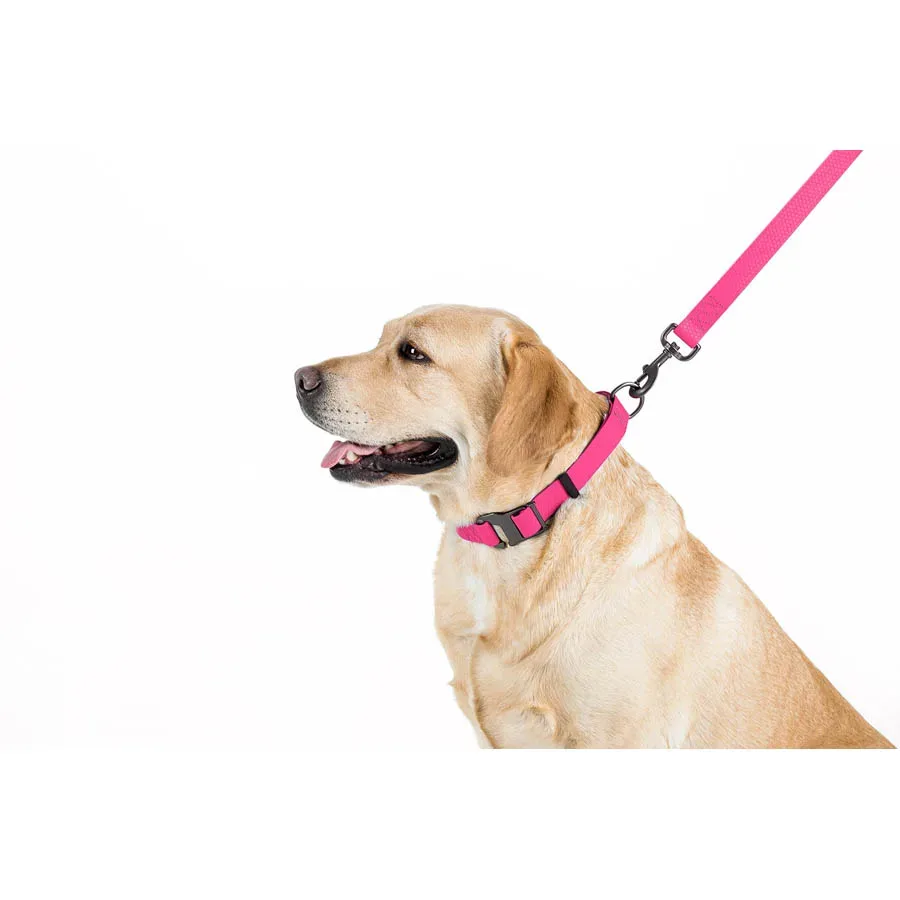 Поводок для собак водостойкий, 15 мм × 183 см, S, розовый WAUDOG Waterproof Leash