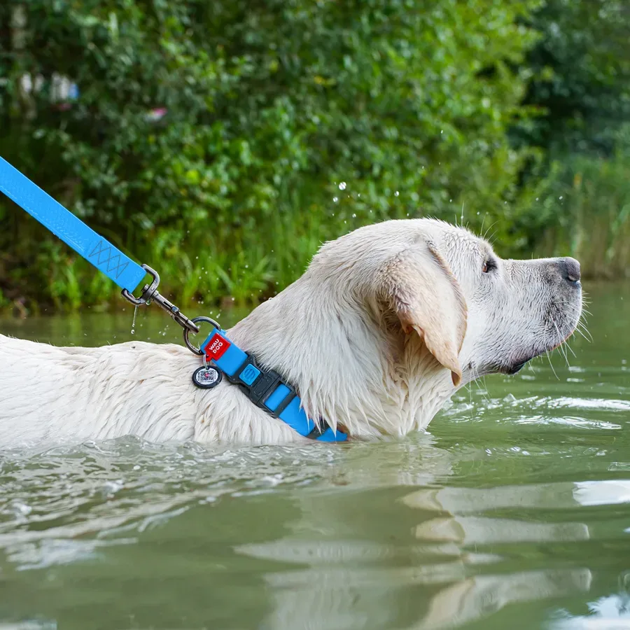 Ошейник для собак водостойкий, пластиковая пряжка, XL, голубой WAUDOG Waterproof Collar