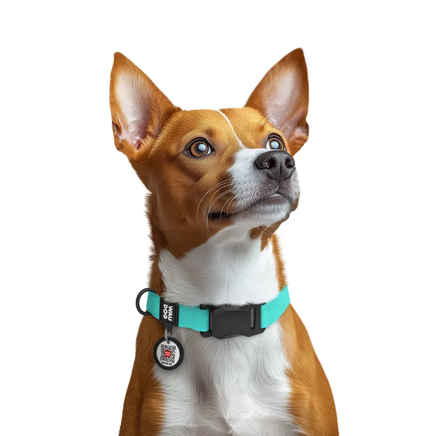 Нашийник для собак водостійкий, S, тіффані WAUDOG Magnet Collar